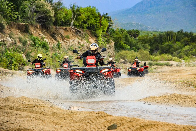 4x4 ATV Adventure with Tequila Tasting and Mexican Buffet Lunch - Key details before you book