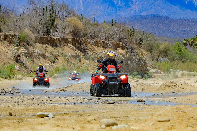 4x4 ATV Adventure with Tequila Tasting and Mexican Buffet Lunch - An oceanfront buffet after the dust