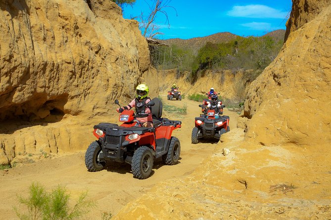 4x4 ATV Adventure with Tequila Tasting and Mexican Buffet Lunch - Tequila and mezcal, with modest expectations