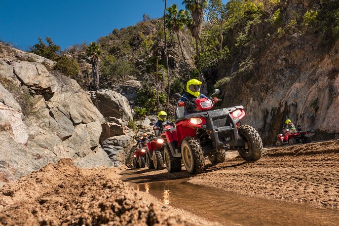 4x4 ATV Adventure with Tequila Tasting and Mexican Buffet Lunch - Is $75 a fair price?