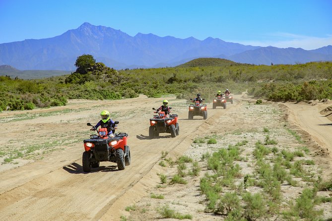 4x4 ATV Adventure with Tequila Tasting and Mexican Buffet Lunch - Who will enjoy this Baja outing?