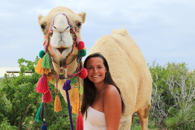 ATV Tour, Camel Ride, Tequila Tasting and Mexican Buffet Lunch - The ATV ride through cactus and canyon trails