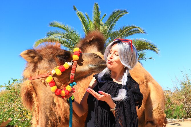 ATV Tour, Camel Ride, Tequila Tasting and Mexican Buffet Lunch - Tequila and mezcal tasting beside the sea