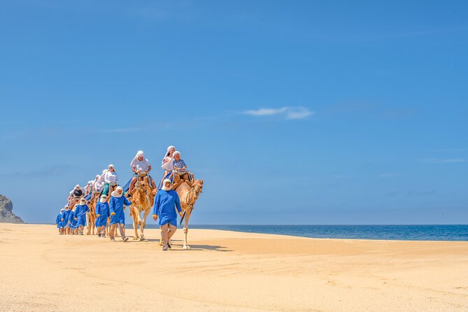 ATV Tour, Camel Ride, Tequila Tasting and Mexican Buffet Lunch - What the $149 price really means