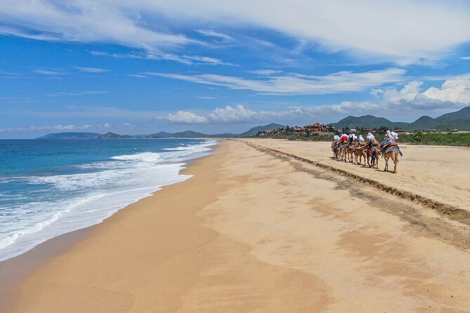 ATV Tour, Camel Ride, Tequila Tasting and Mexican Buffet Lunch - How to make the day go better