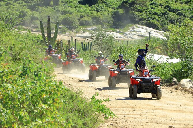 ATV Tour, Camel Ride, Tequila Tasting and Mexican Buffet Lunch - Camels, beach views, and an unusual change of pace