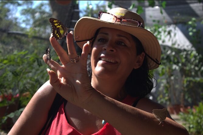 Butterflies, City tour, tequila, and beach (kids free) - What This Puerto Vallarta Tour Is Really Like