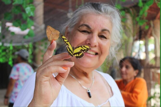 Butterflies, City tour, tequila, and beach (kids free) - Mariposario Morpho: The Tour’s Best Stop