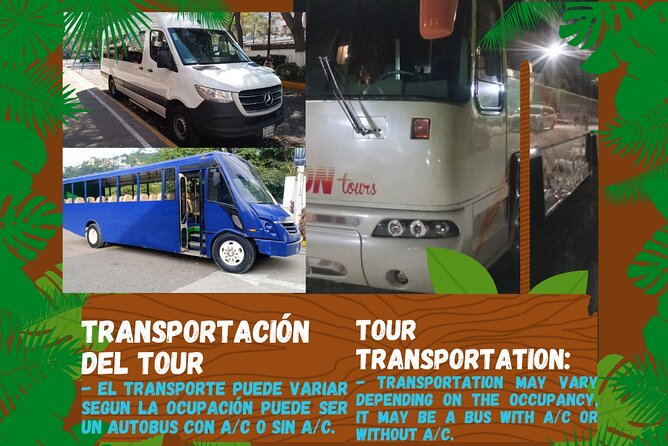 Butterflies, City tour, tequila, and beach (kids free) - Punta Negra From the Passenger Seat