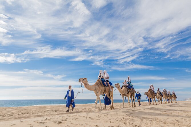 Cabo Beach Camel Ride, Mexican Buffet and Tequila Tasting - A camel ride with a Baja backdrop
