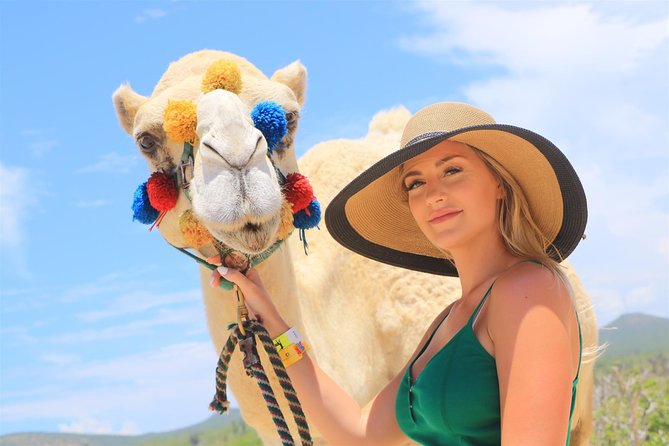 Cabo Beach Camel Ride, Mexican Buffet and Tequila Tasting - The buffet beside the water
