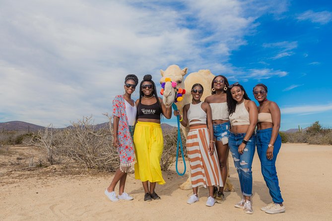 Cabo Beach Camel Ride, Mexican Buffet and Tequila Tasting - Price, entrance fee, and photo costs