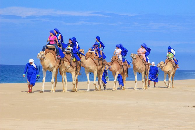 Cabo Beach Camel Ride, Mexican Buffet and Tequila Tasting - What the ride feels like at Rancho Tierra Sagrada