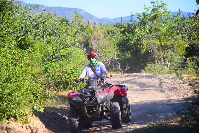 Cabo Candelaria Village Adventure + Tequila Tasting - How the $170 price adds up