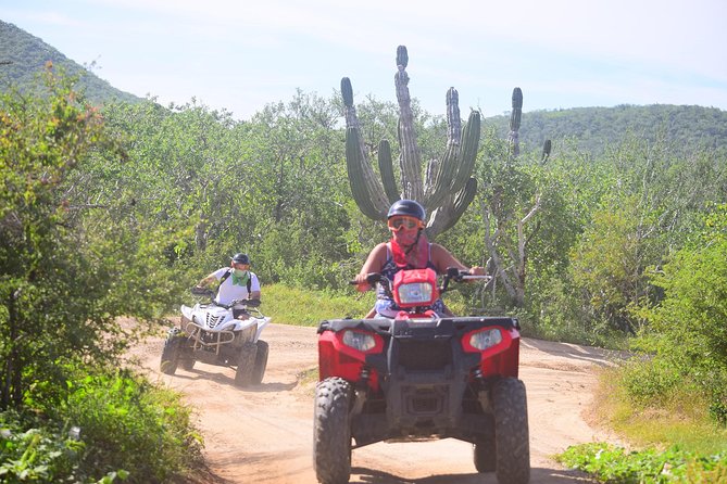 Cabo Candelaria Village Adventure + Tequila Tasting - Who should book this Baja adventure