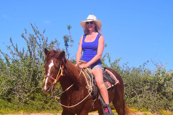 Cabo Desert Off-Road & Beach Horseback Combo and Tequila Tasting - What the $100 price really buys