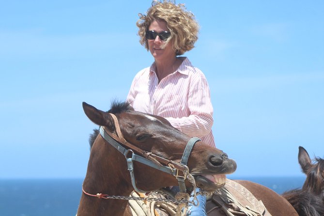 Cabo Desert Off-Road & Beach Horseback Combo and Tequila Tasting - The guides make the difference