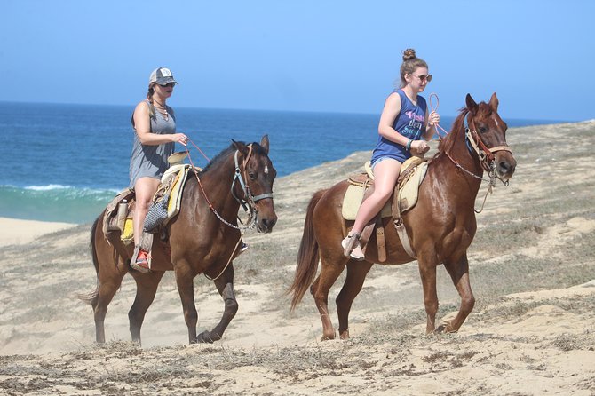 Cabo Desert Off-Road & Beach Horseback Combo and Tequila Tasting - Timing, heat, and what to bring