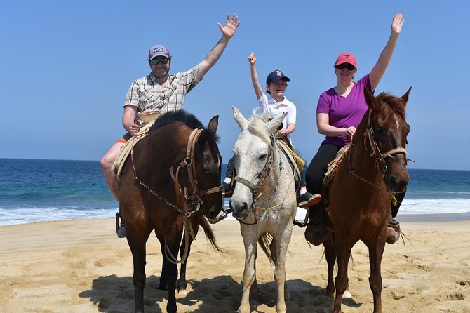 Cabo Desert Off-Road & Beach Horseback Combo and Tequila Tasting - Who should book this Cabo combo