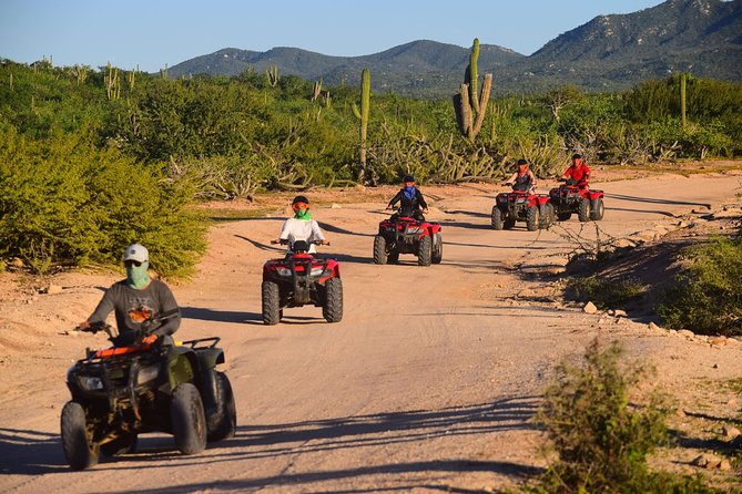 Cabo Migrino Beach and Desert ATV Tour plus Tequila Tasting - The shared van can change the day