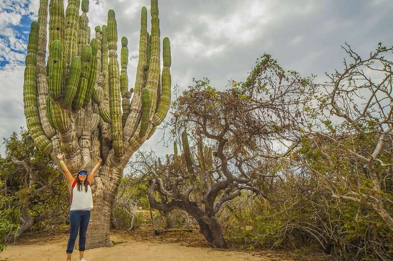 Cabo San Lucas: Camel Safari Tour with Lunch and Tequila - Is $99 a good value?
