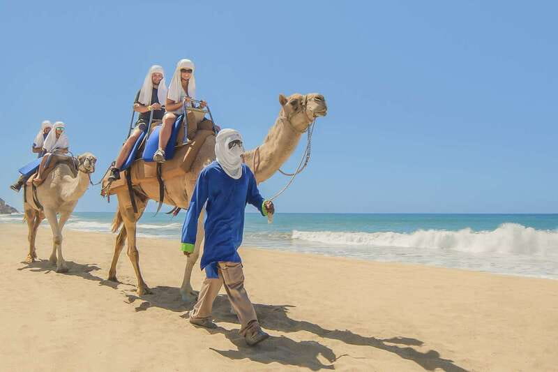 Cabo San Lucas: Camel Safari Tour with Lunch and Tequila - What the desert walk adds to the outing