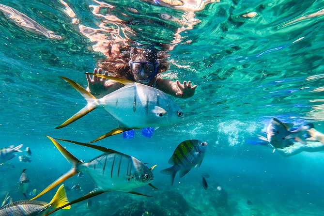 Cabo San Lucas Shopping, Tequila Tasting, and Snorkel Tour - El Arco and Cabo’s famous rock formations