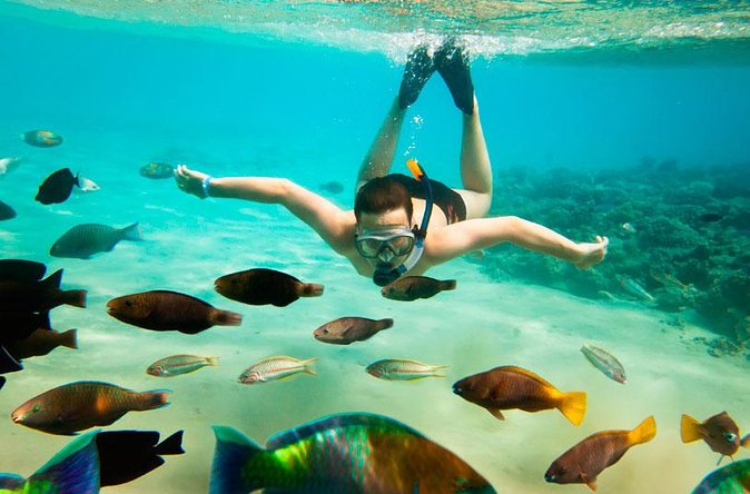 Cabo San Lucas Shopping, Tequila Tasting, and Snorkel Tour - Lunch, drinks, and the buffet question