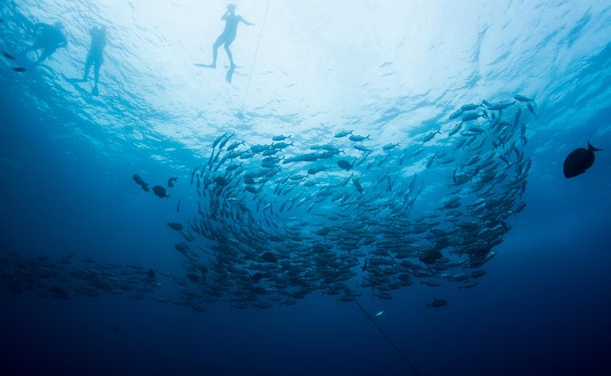 Cabo San Lucas Shopping, Tequila Tasting, and Snorkel Tour - The glass factory and the shopping stops