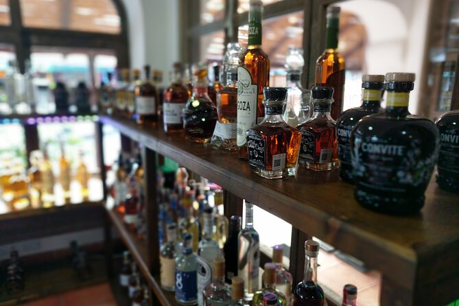 Cabo San Lucas Tequila Tasting Experience - Guides who bring the lesson to life