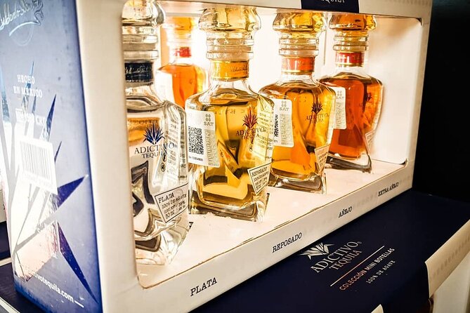 Cabo San Lucas Tequila Tasting Experience - Who will enjoy this, and who may not