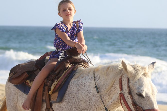 Cabo White Sand Horseback Riding Tour and Tequila Tasting - From Cabo’s hotels to Real Baja Tours