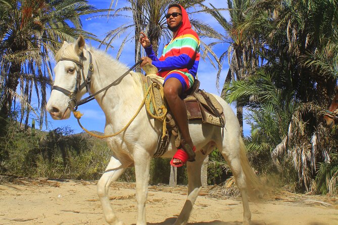 Cabo White Sand Horseback Riding Tour and Tequila Tasting - What the tequila tasting is really like