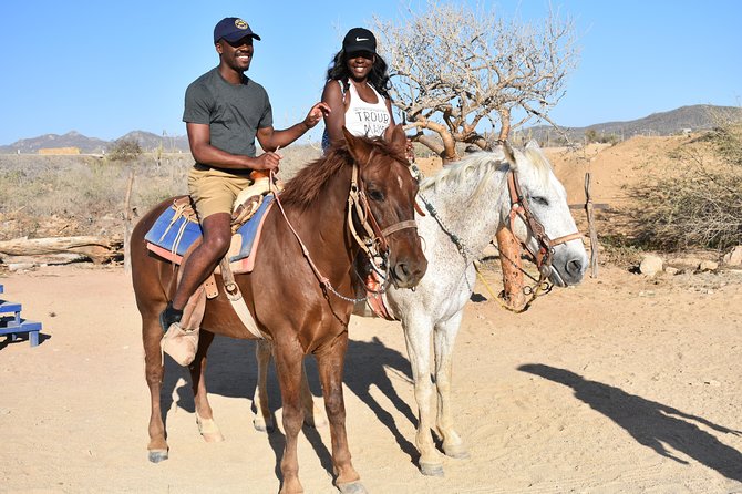 Cabo White Sand Horseback Riding Tour and Tequila Tasting - Who will enjoy this Cabo outing