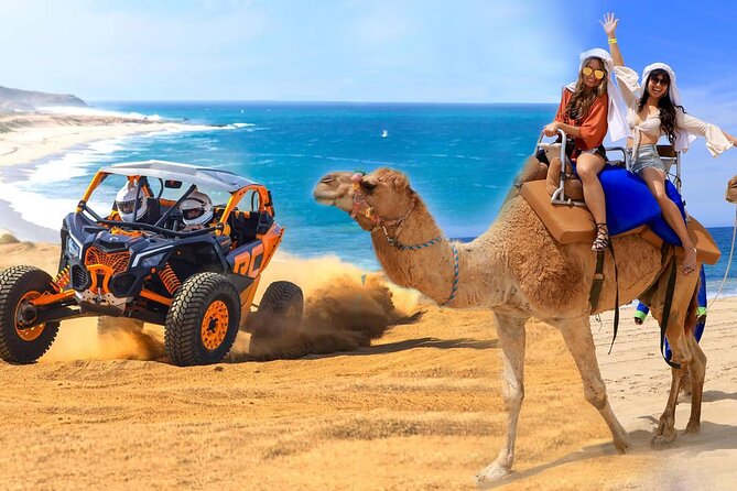 Camel Ride and UTV Combo Adventure, with Tequila Tasting - Two Cabo Adventures in One Afternoon