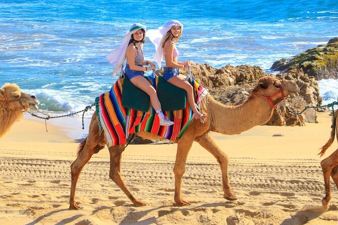 Camel Ride and UTV Combo Adventure, with Tequila Tasting - Rancho de Migriño: Safety First, Then Saddles