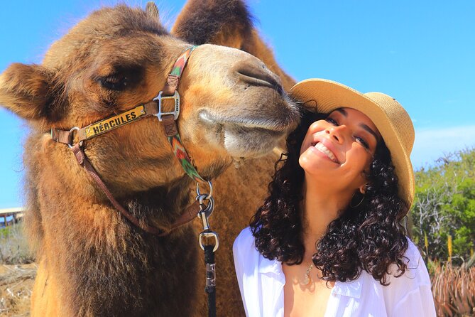 Camel Ride and UTV Combo Adventure, with Tequila Tasting - From Camel Saddle to Baja UTV
