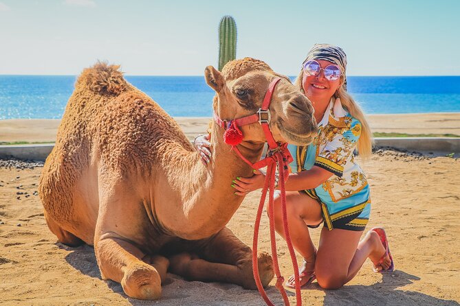 Camel Ride and UTV Combo Adventure, with Tequila Tasting - Dunes, Cliffs, and the Best Driving Views