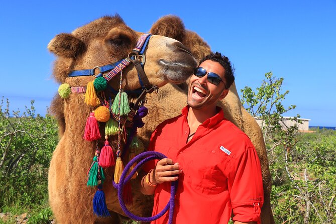 Camel Ride and UTV Combo Adventure, with Tequila Tasting - Transportation, Timing, and Cruise Port Advice