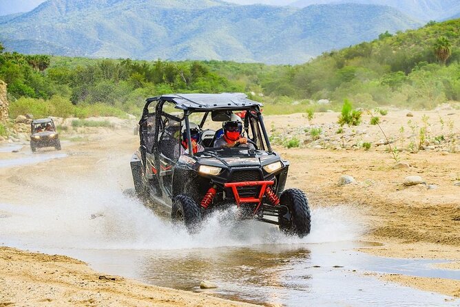 Camel Ride and UTV Combo Adventure, with Tequila Tasting - What the $108 Price Really Buys