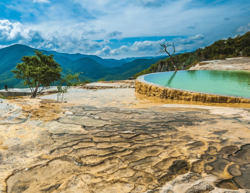Caminos del Condoy: Boiling water, Mitla. Mezcal - The giant Tule tree starts the morning