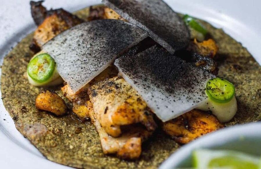 CDMX: Tacos and mezcal night tour - Should you book it?