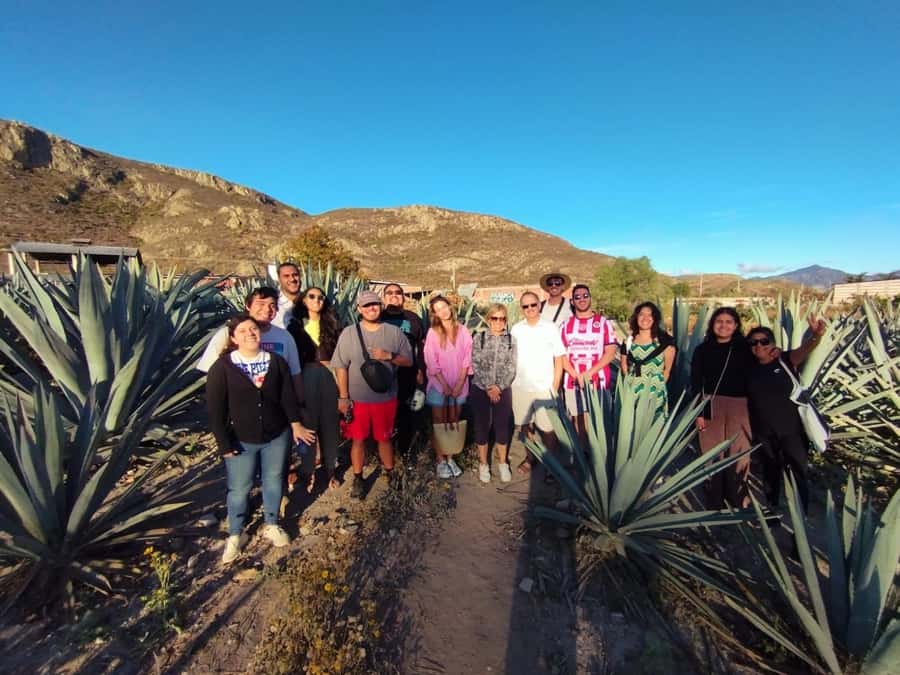 Check out Hierve el Agua, Mitla, the Tule Tree, Rugs, and a Mezcal Distillery Tour - How to prepare for the $49 price