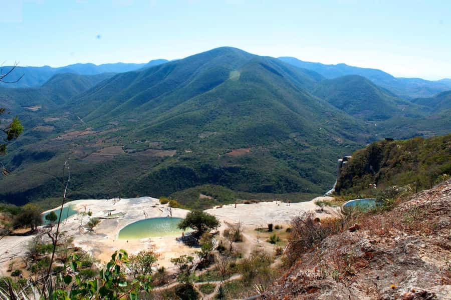 Check out Hierve el Agua, Mitla, the Tule Tree, Rugs, and a Mezcal Distillery Tour - Who should book this experience?