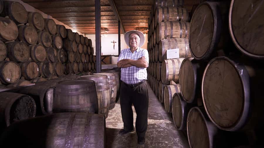 Classic Tequila Route Tour from Guadalajara and cantaritos el GÜERO!!! - Key points to know before you go