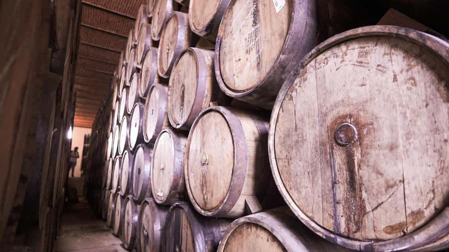 Classic Tequila Route Tour from Guadalajara and cantaritos el GÜERO!!! - An hour in the town of Tequila
