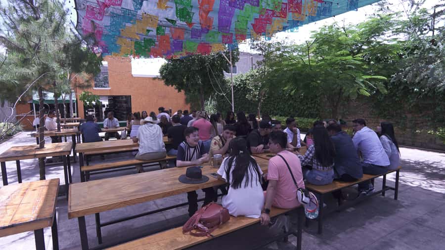 Classic Tequila Route Tour from Guadalajara and cantaritos el GÜERO!!! - What the $41 price really covers