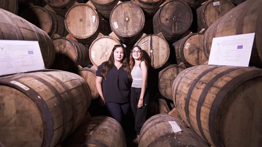 Classic Tequila Route Tour from Guadalajara and cantaritos el GÜERO!!! - Who will enjoy this tour most