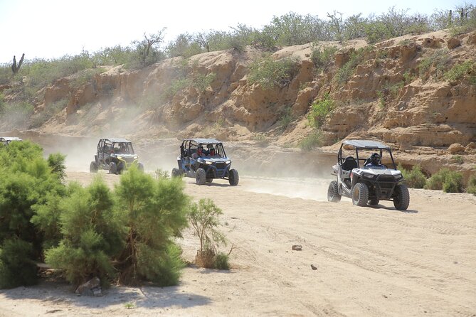 Combo Single Offroad 4x4 UTV, Camel Ride, Lunch & Tequila Tasting - Key points at a glance