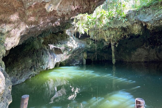 Cozumel ATVs, El Cedral Ruins, Cenote Jade, and Tequila - What the $39 price really means